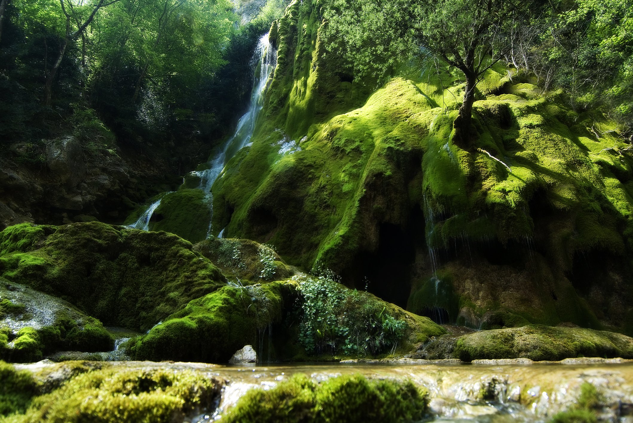 Paysage 8